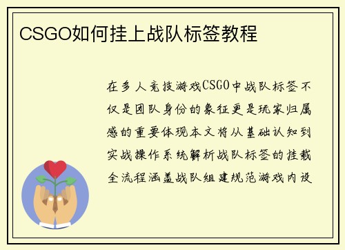 CSGO如何挂上战队标签教程